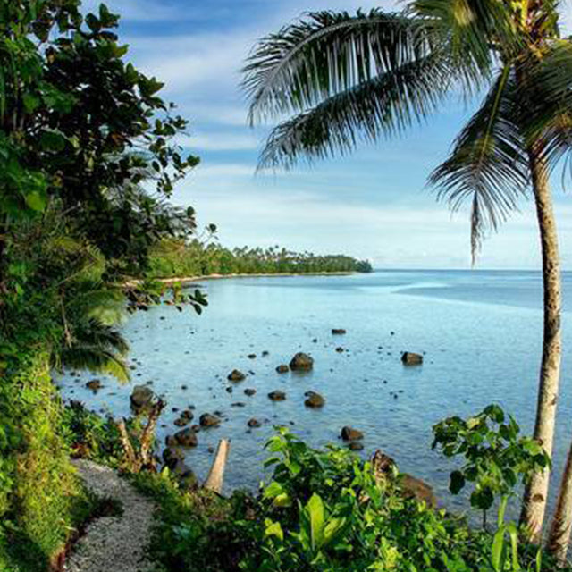 Island Dreaming in our Video With Turtle Cay Island Wear